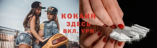 твердый Кукмор