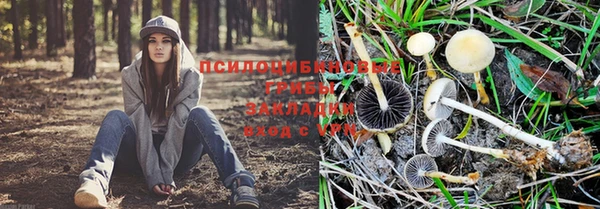таблы Ладушкин
