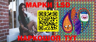 стаф Берёзовский