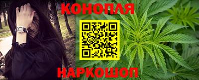 сатива Балахна