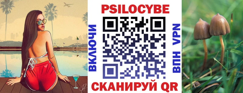 продажа наркотиков  Владимир  Псилоцибиновые грибы GOLDEN TEACHER 