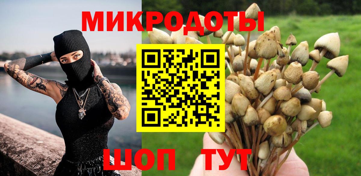 Галлюциногенные грибы прущие грибы Владимир