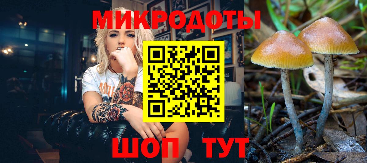 наркошоп  Владимир  Псилоцибиновые грибы GOLDEN TEACHER  Галлюциногенные грибы Magic Shrooms 