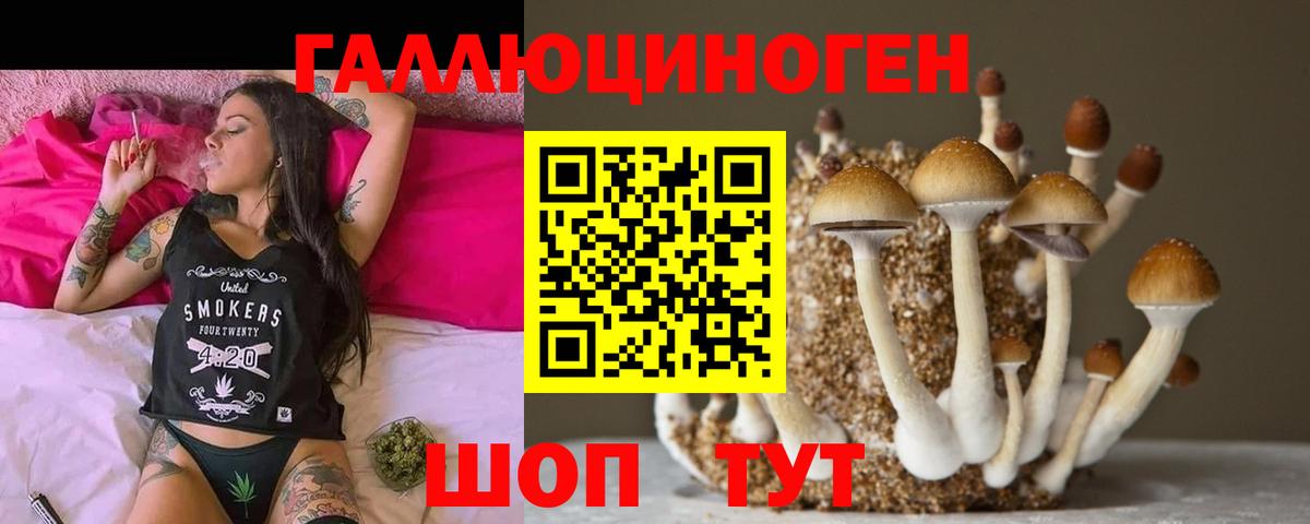 Псилоцибиновые грибы GOLDEN TEACHER  Псилоцибиновые грибы Psilocybine cubensis  Вход с VPN  Владимир 