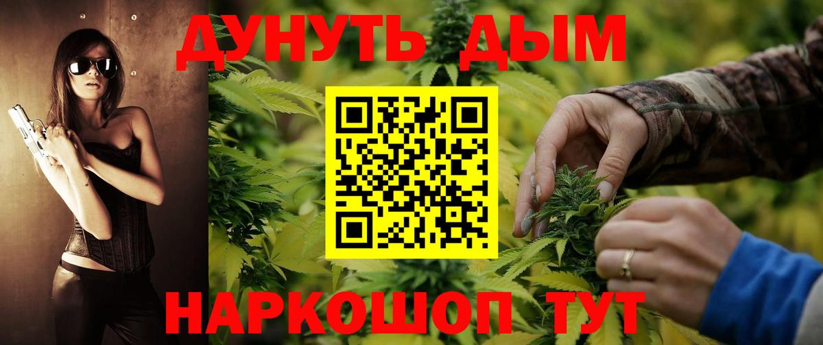 Марихуана конопля Владимир